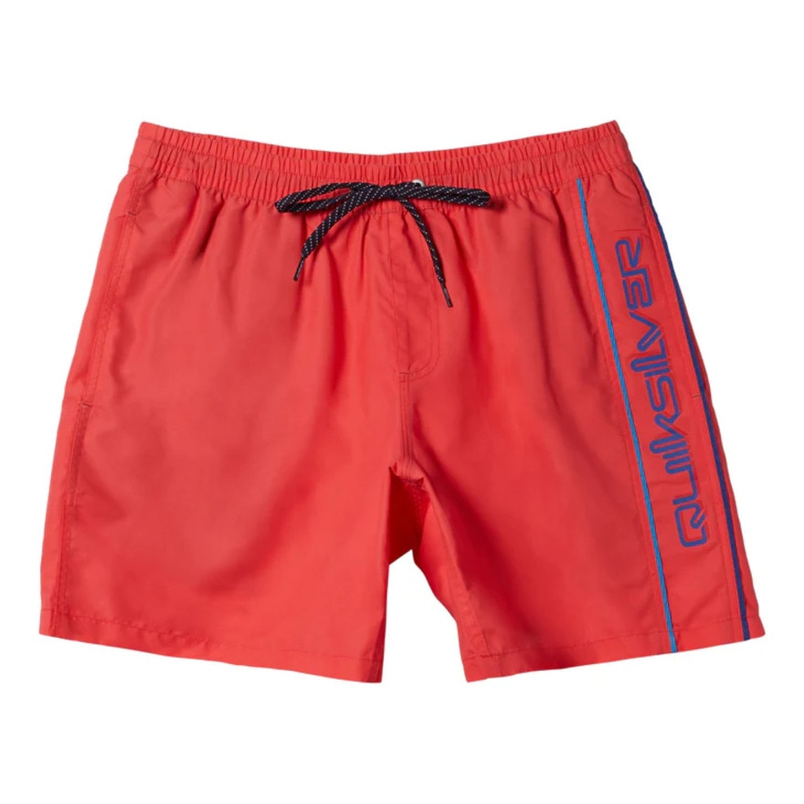 クイックシルバー（Quiksilver）（メンズ）水着 海水パンツ EVERYDAY VERT VOLLEY 19 ボードショーツ 24SPAQYJV03157RMC0