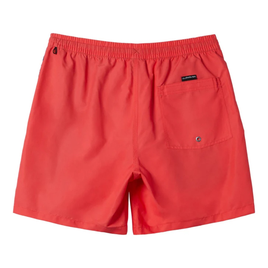 クイックシルバー（Quiksilver）（メンズ）水着 海水パンツ EVERYDAY VERT VOLLEY 19 ボードショーツ 24SPAQYJV03157RMC0