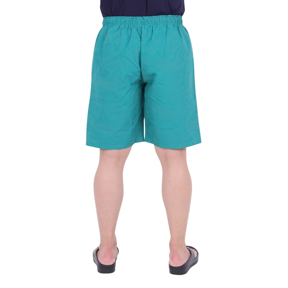 フィラ（FILA）（メンズ）水着 海水パンツ トランクス フォトクロミックトランクス 424205-GN
