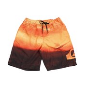 クイックシルバー（Quiksilver）（メンズ）水着 メンズ ジャムショーツ 20インチ HEAVEN VOLLEY 20 19SPEQYJV03435NME6 海パン 海水パンツ