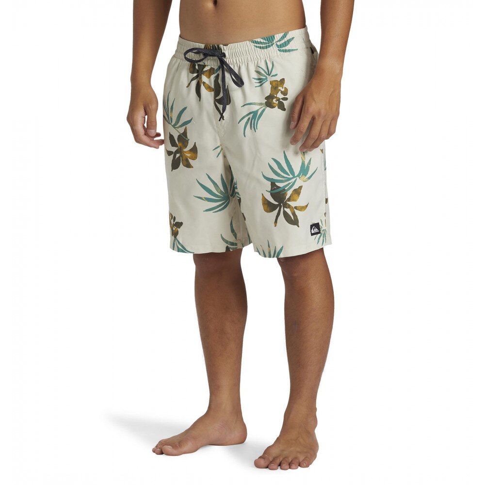 クイックシルバー（Quiksilver）（メンズ）EVERYDAY MIX VOLLEY 19 ボードショーツ 24SPAQYJV03148TFD6
