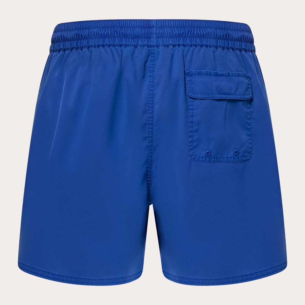 オークリー（OAKLEY）（メンズ）ROBINSON BEACHSHORT FOA404300-671 ボードショーツ