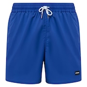 (メンズ)ROBINSON BEACHSHORT FOA404300-671 ボードショーツ