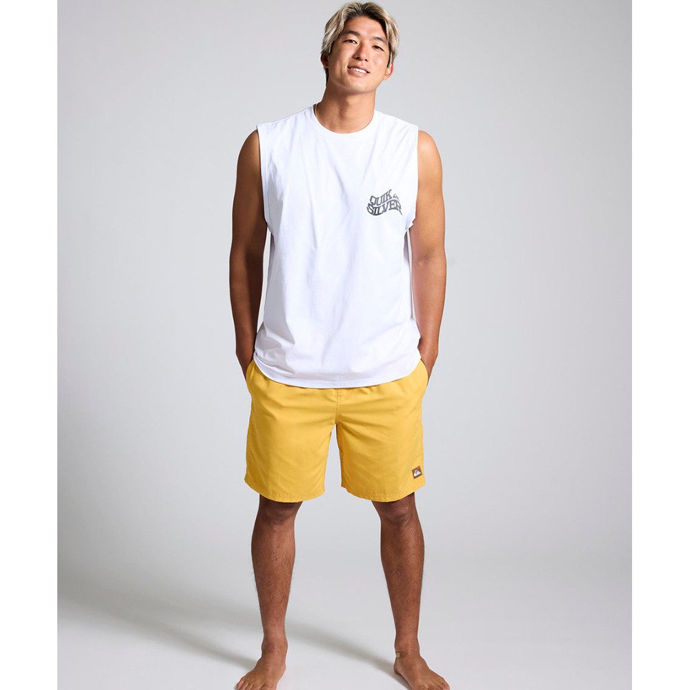 クイックシルバー（Quiksilver）（メンズ）EVERYDAY SOLID VOLLEY 19
