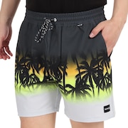 ハーレー（HURLEY）（メンズ）水着 海パン サーフパンツ ボードショーツ PHTM LA PLAYA VOLLEY 22 CU9139-060 グレー