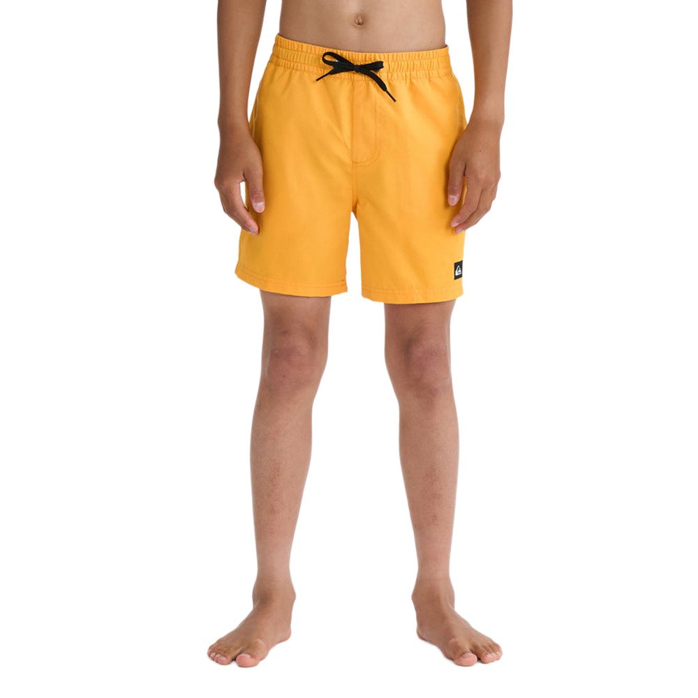 Quiksilver�W���j�A EVERYDAY VOLLEY �W�����{�[�h�V���[�c 14�C���` �C���i�[�V���[�c�t�� 26SPEQBJV03543NJZ0�P�S�O28