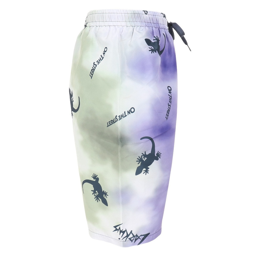 LARKiNS（LARKiNS）（キッズ）水着 海パン ジュニア 男の子 ボーイズ ファーギーサーフ トランクス 37251754NV