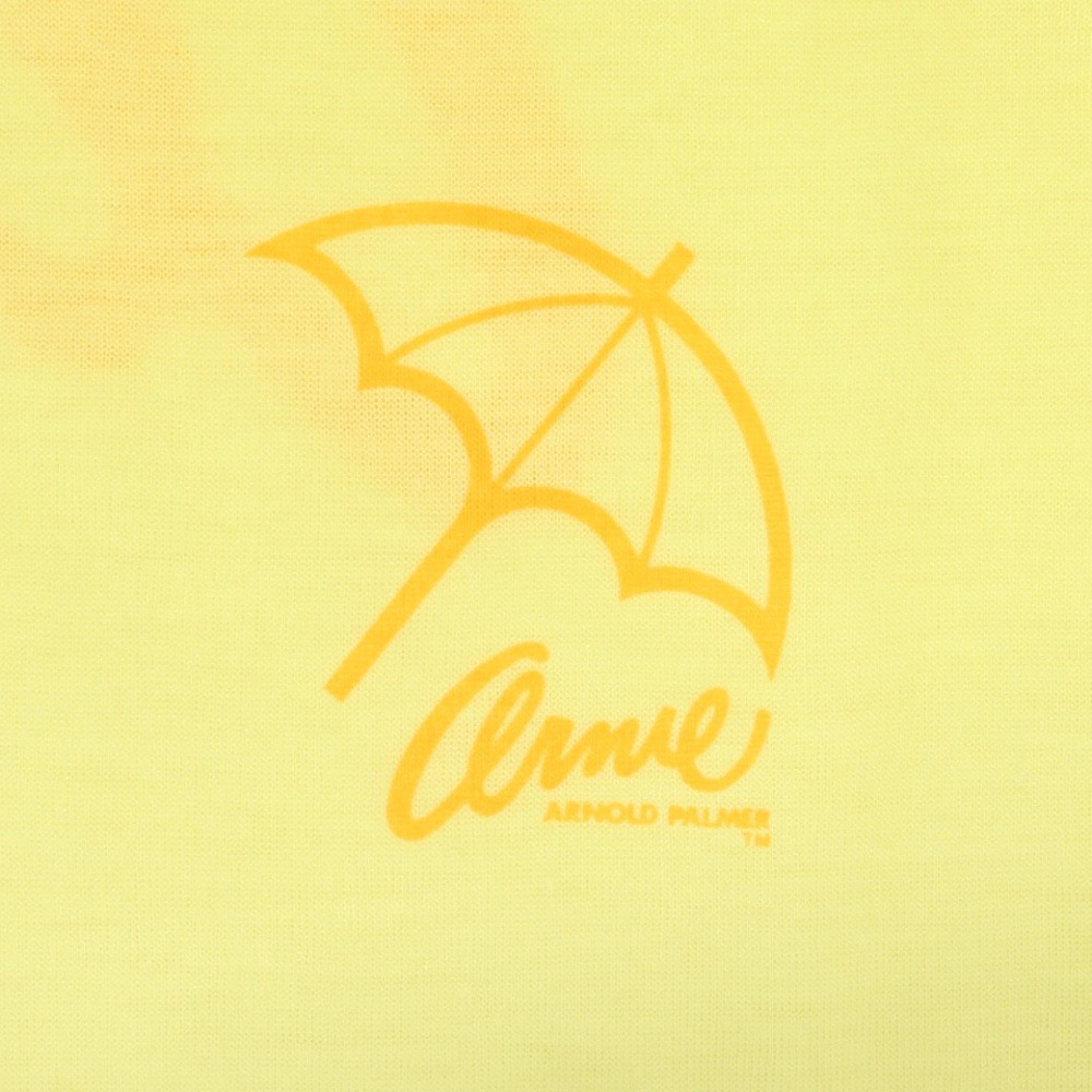 アーノルドパーマー（Arnold Palmer）（キッズ）水着 子供 女の子 セパレーツ水着 グラデTシャツ付き 3点セット 372252-23SAX