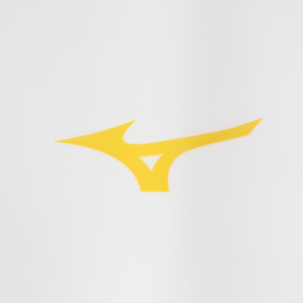 ミズノ（MIZUNO）（メンズ、レディース）水泳 スイムキャップ シリコーンキャップ N2JWB54401 ホワイト