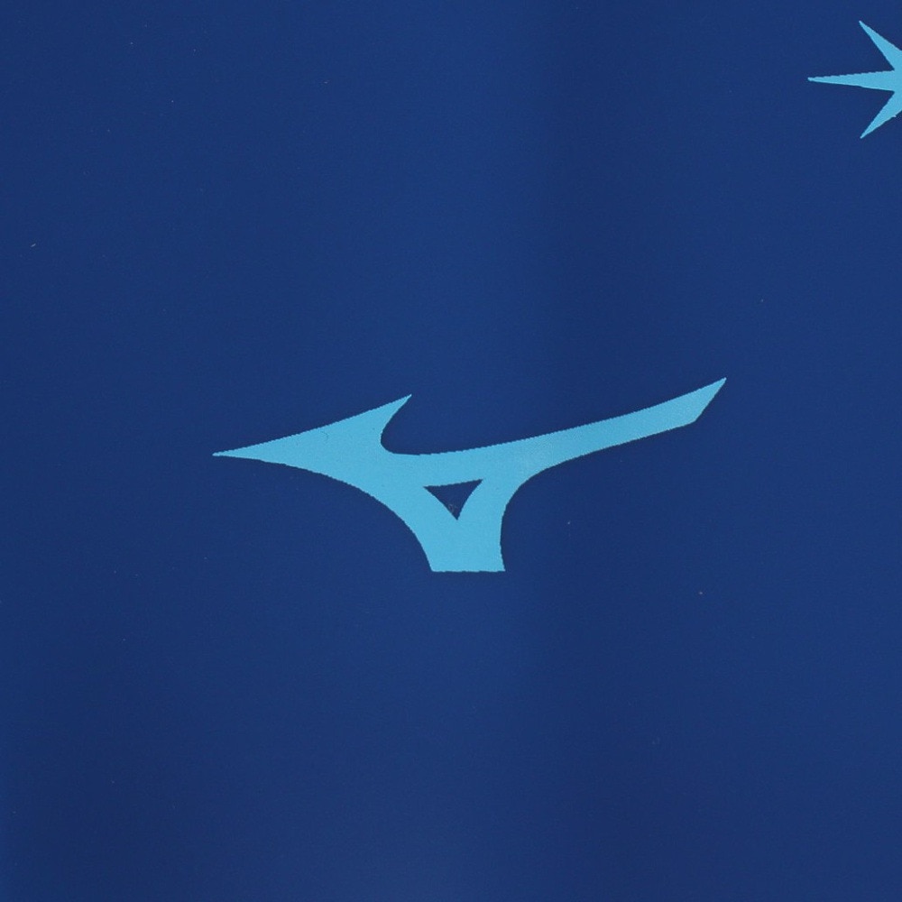ミズノ（MIZUNO）（メンズ、レディース）水泳 スイムキャップ シリコーンキャップ N2JWB54425 ブルー