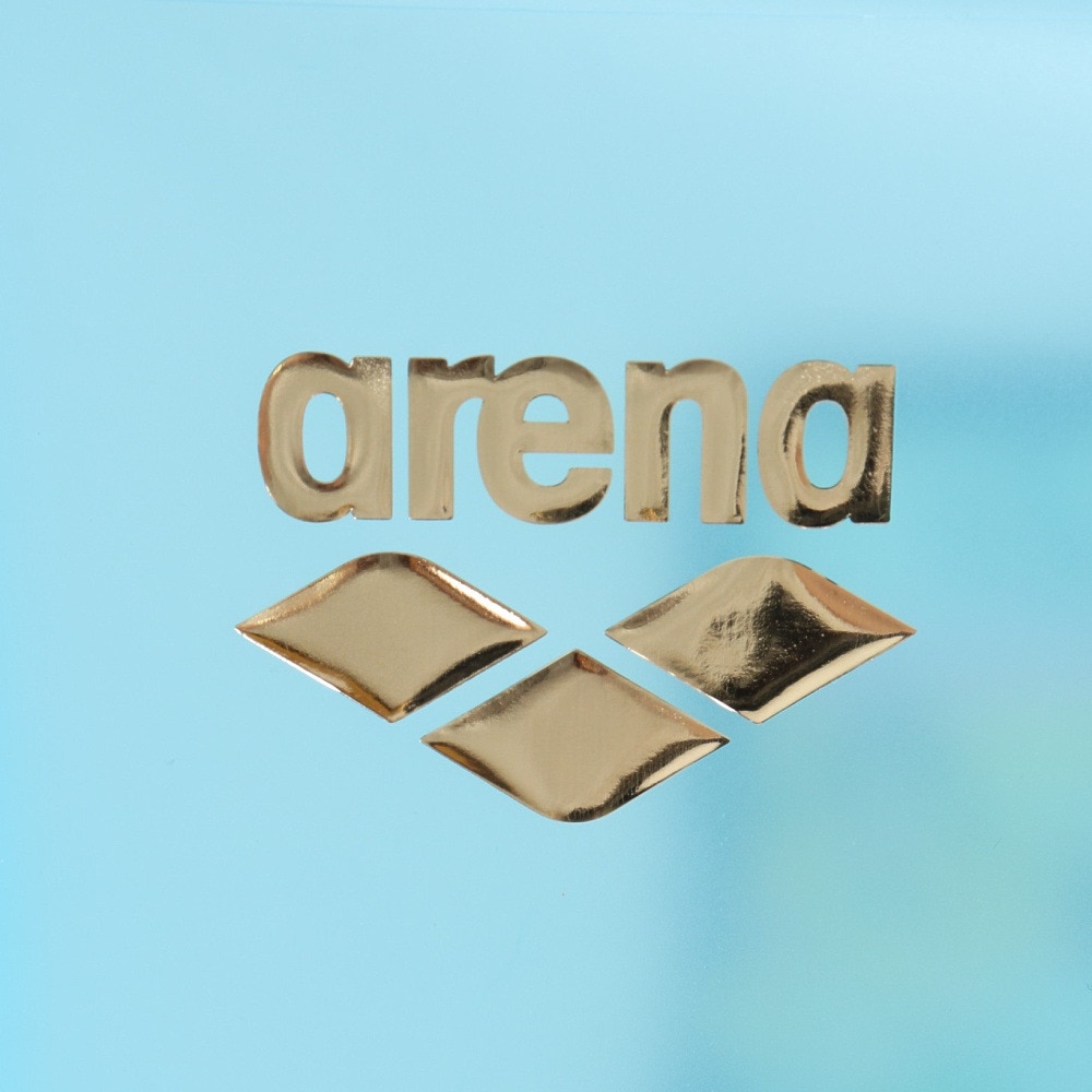 アリーナ（ARENA）（メンズ、レディース、キッズ）水泳バッグ プルーフバッグ 台形 ディズニー ミッキーと仲間たち AS4FBZ84U BLBK ブルー