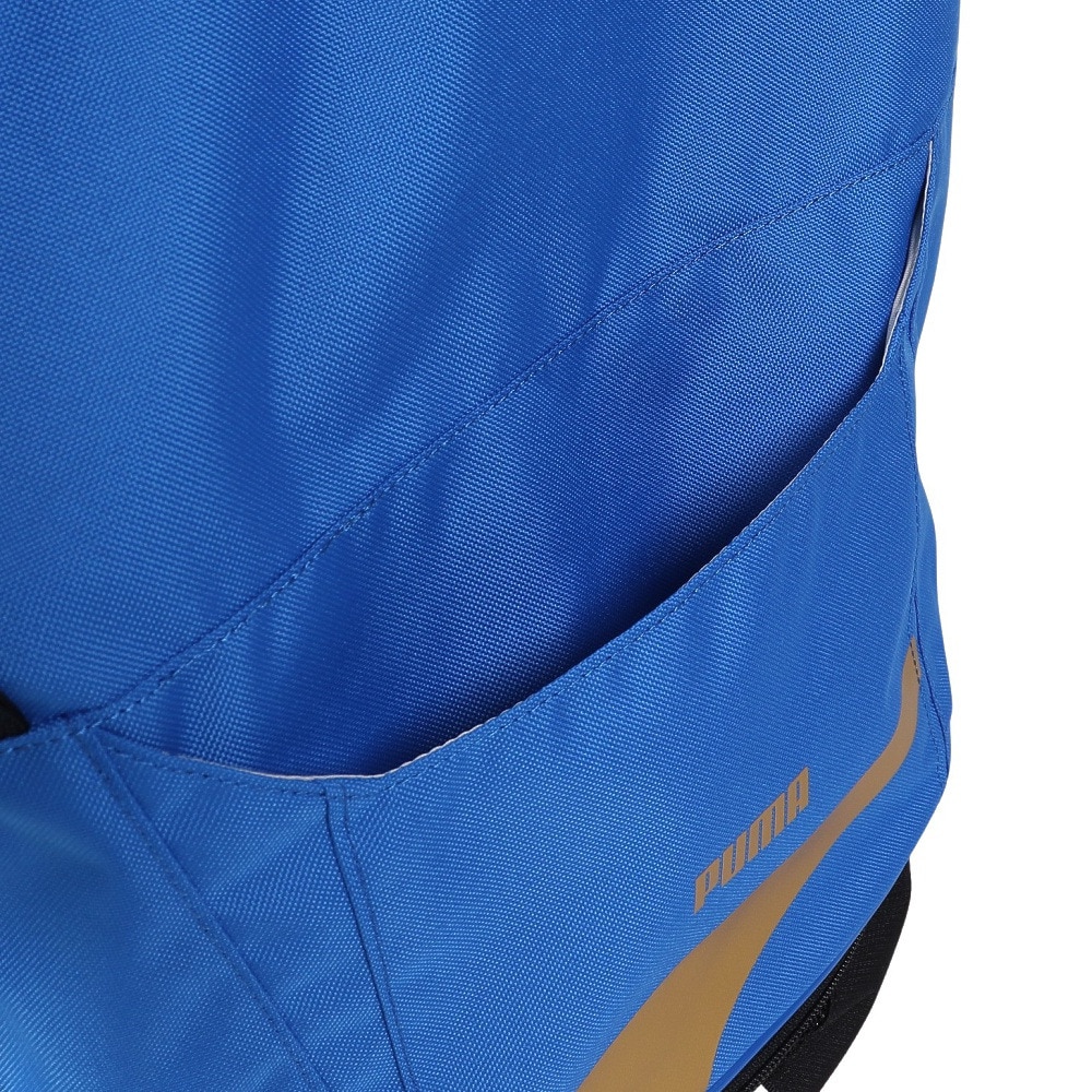 プーマ（PUMA）（メンズ、レディース、キッズ）水泳バッグ スタイル 2ルームスイムバッグ 07904206 青