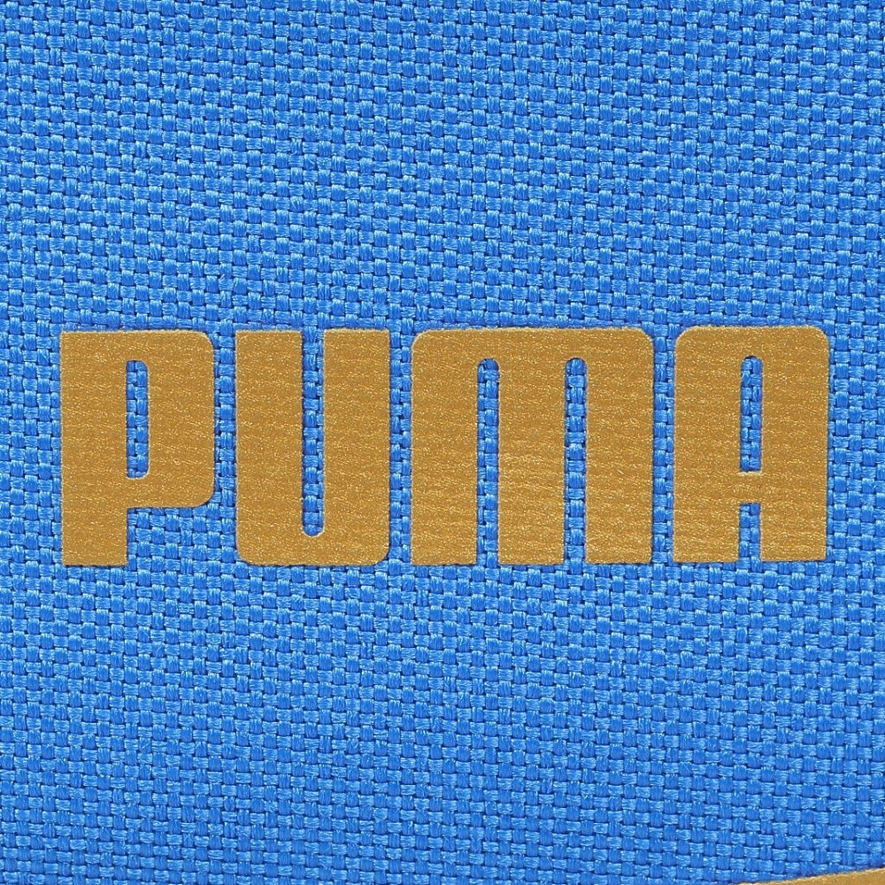 プーマ（PUMA）（メンズ、レディース、キッズ）水泳バッグ スタイル 2ルームスイムバッグ 07904206 青