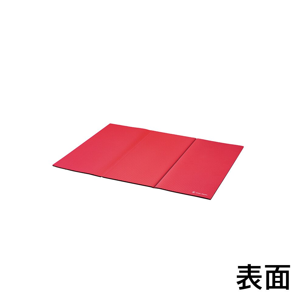 ショップジャパン（ShopJapan）（メンズ、レディース）健康ステッパー ナイスデイ マットセット 昇降運動 健康器具 トレーニング NICEMSWS