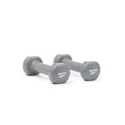 (メンズ、レディース)ダンベル Fitness 1kg ペア グレー RAWT-18001 トレーニング ウエイトトレーニング 2個セット 固定式 筋トレ