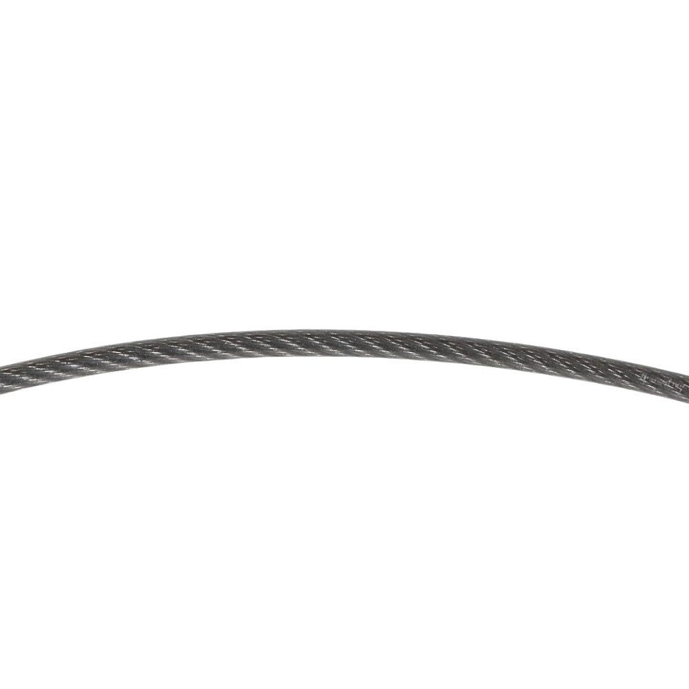ファイテン（PHITEN）（メンズ、レディース）RAKUWA ネックレス EXTREME カーボン シルバー 45cm 0223TG907152