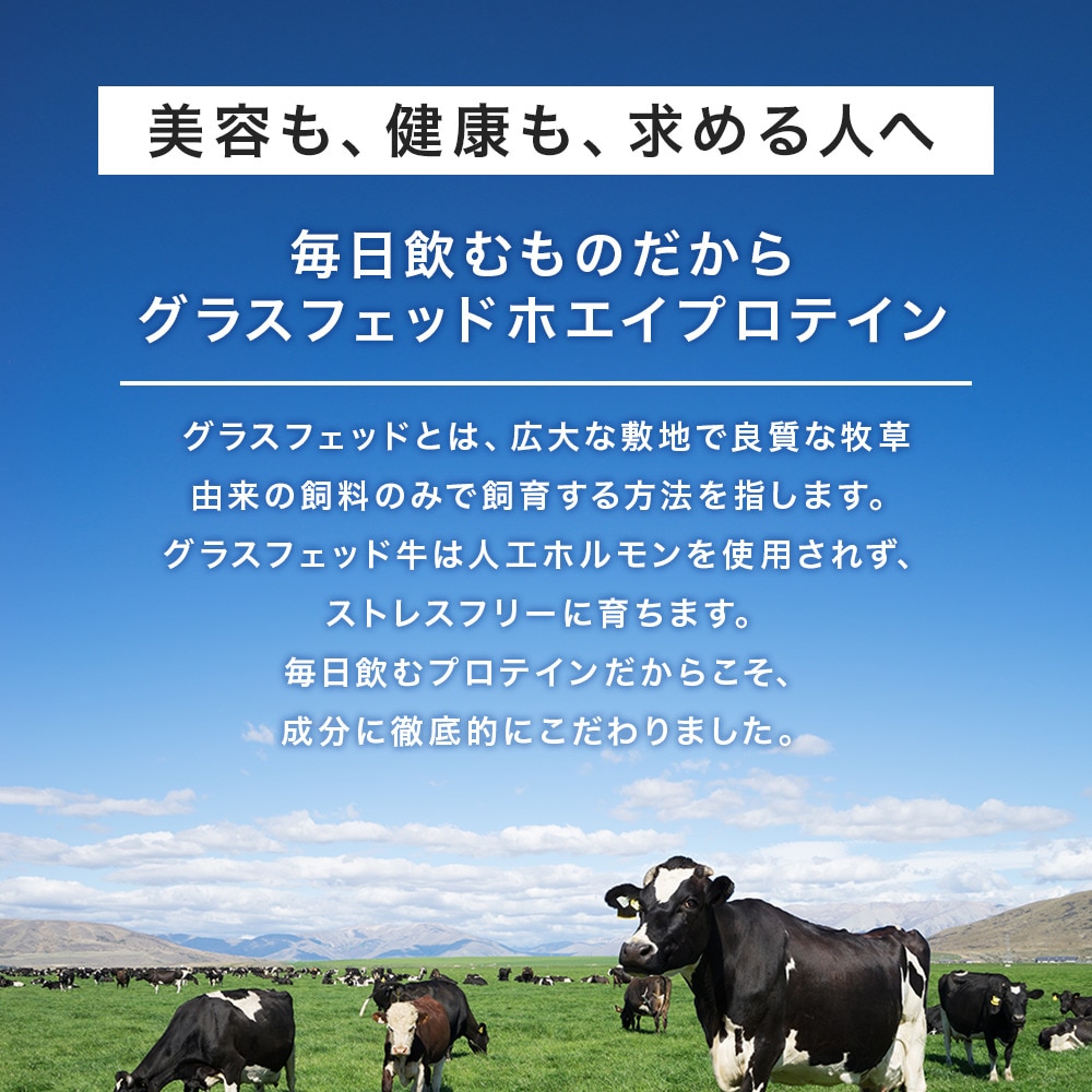 アルプロン（alpron）（メンズ、レディース）プロテイン NATURAL WPC プレーン 900g ホエイプロテイン たんぱく質 アミノ酸 栄養補給 