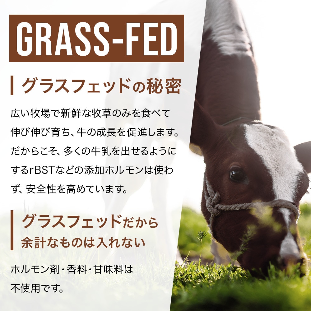 アルプロン（alpron）（メンズ、レディース）プロテイン NATURAL WPC プレーン 900g ホエイプロテイン たんぱく質 アミノ酸 栄養補給 