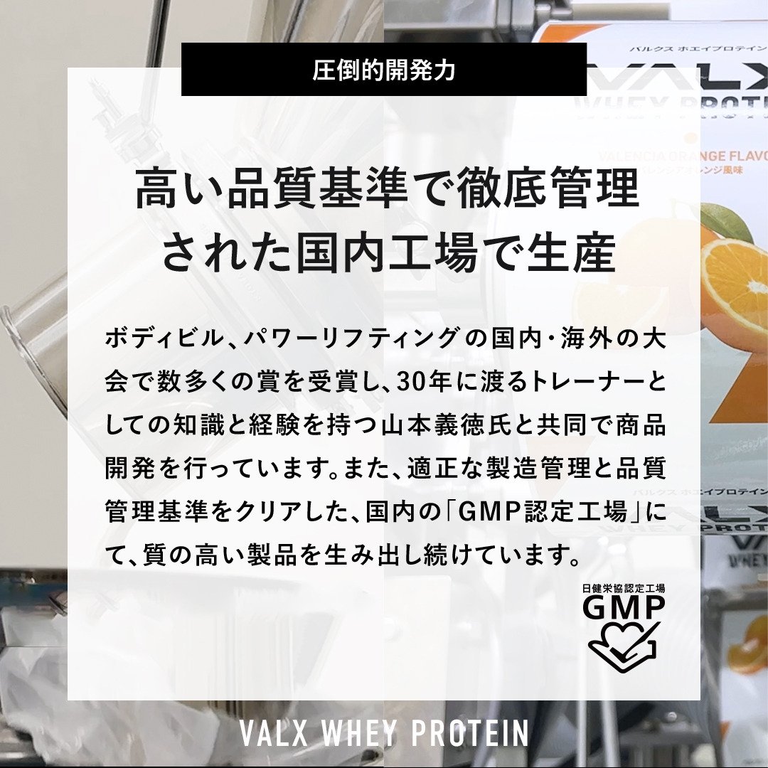 バルクス（VALX）（メンズ、レディース）バルクスホエイプロテイン ヨーグルト風味 420g VALXホエイプロテイン ヨーグルト タンパク質 運動 スポーツ筋トレ 