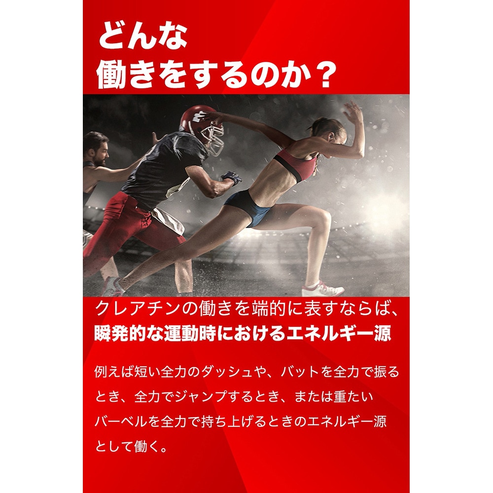 ディーエヌエス（DNS）（メンズ、レディース）IC23　クレアチン 200g（40回分）