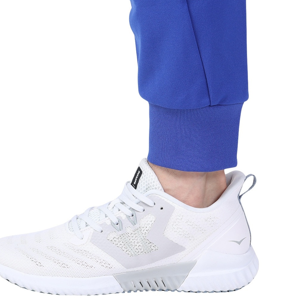 デサント（DESCENTE）（メンズ）パンツ メンズ トレーニング DTM-1013P ROY ロングパンツ