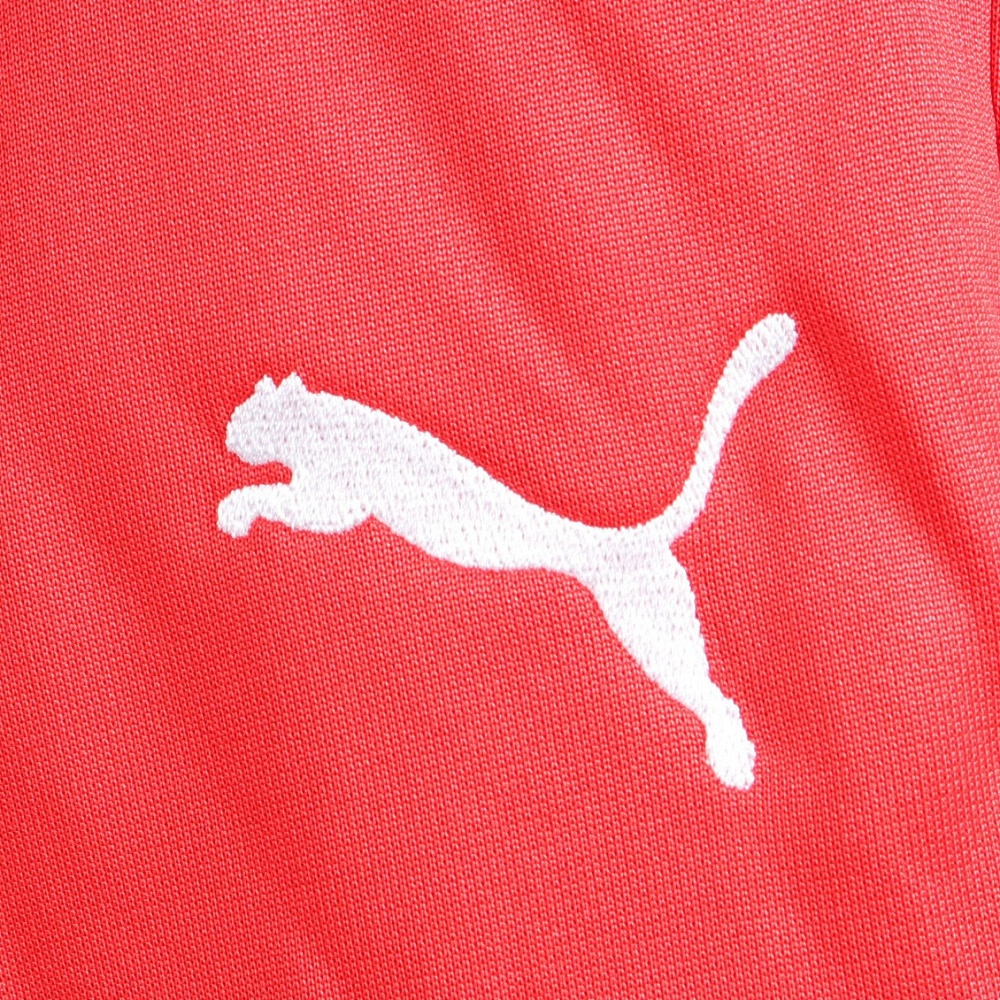 プーマ（PUMA）（メンズ）パンツ メンズ　トレーニング ニット テープ 523552 20 RED