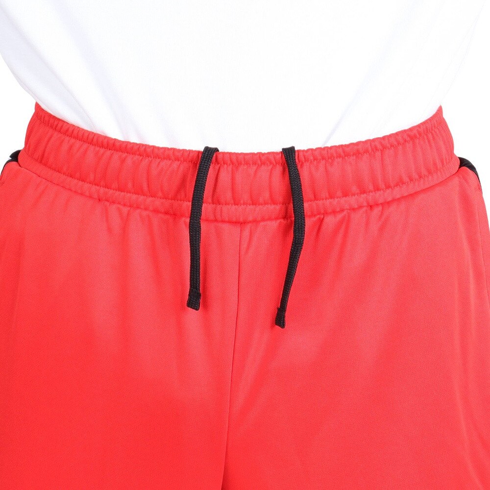 プーマ（PUMA）（メンズ）パンツ メンズ　トレーニング ニット テープ 523552 20 RED