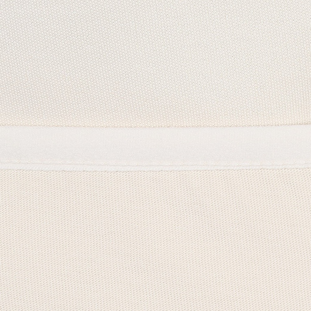 プーマ（PUMA）（レディース）エヴォストライプ フルジップ フーディ 690987 87 OWHT