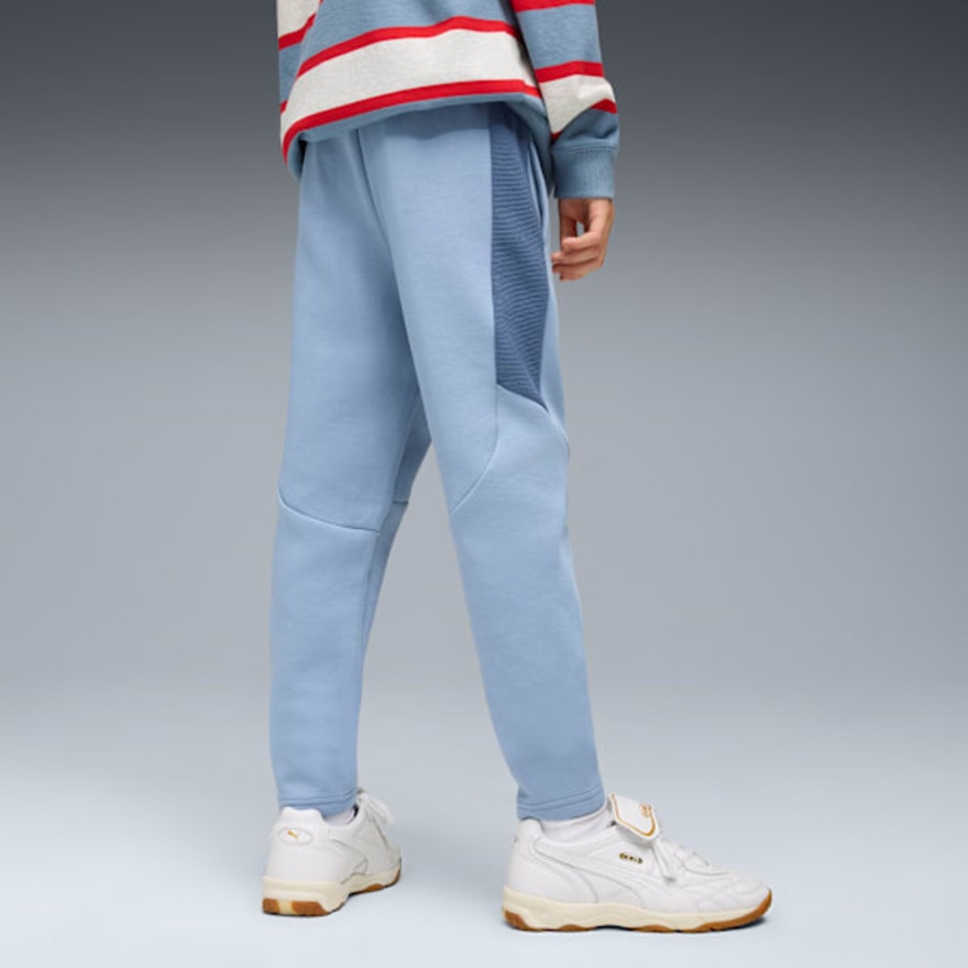 プーマ（PUMA）（キッズ）エヴォストライプ パンツ 691184 34 LBLU