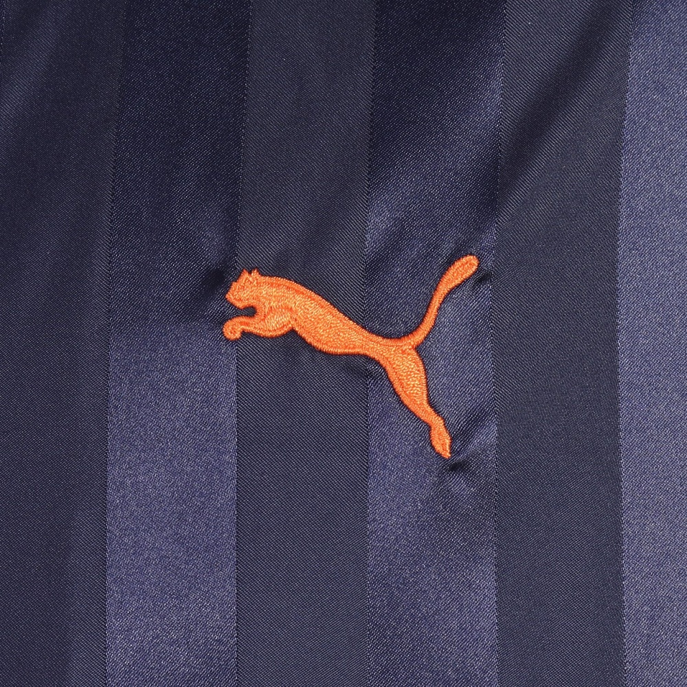 プーマ（PUMA）（メンズ）トレーニング シャドウ ストライプ ウーブン ジャケット 527752 61 NVY