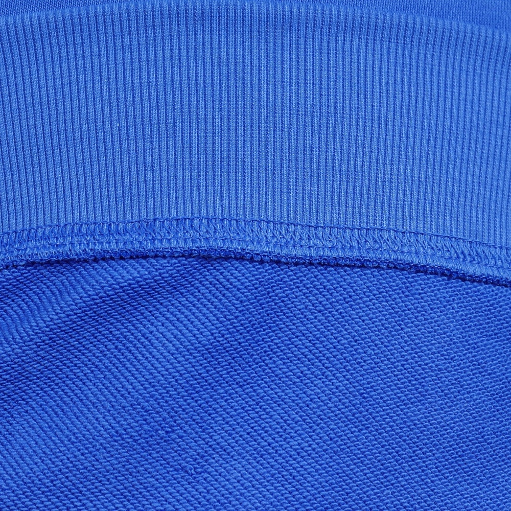 ニューバランス（new balance）（メンズ）Stacked Logo クルーネック スウェットシャツ MT41500BUL