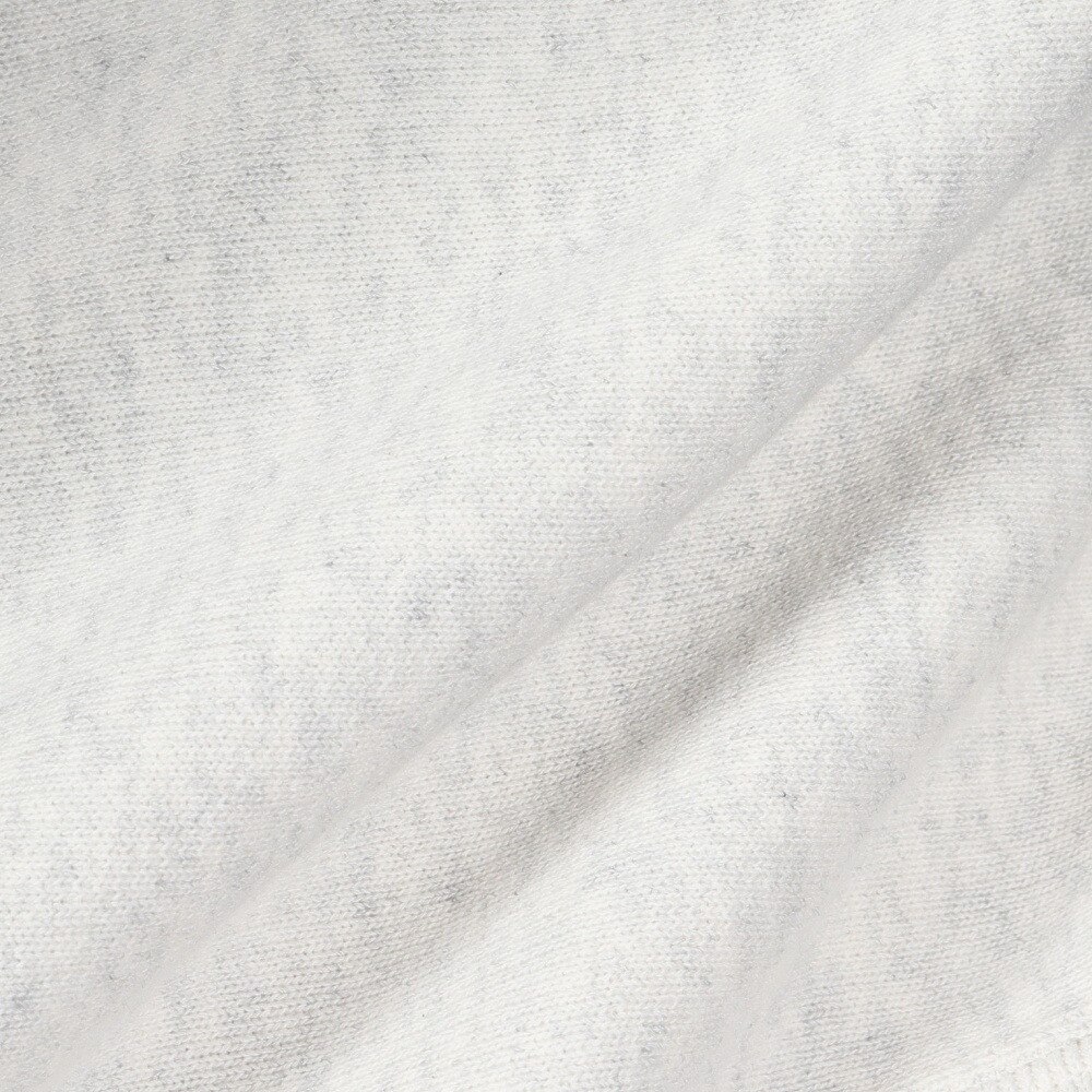 チャンピオン-ヘリテイジ（CHAMPION-HERITAGE）（メンズ）リバースウィーブ ハーフジップスウェットシャツ C3-Y017 810