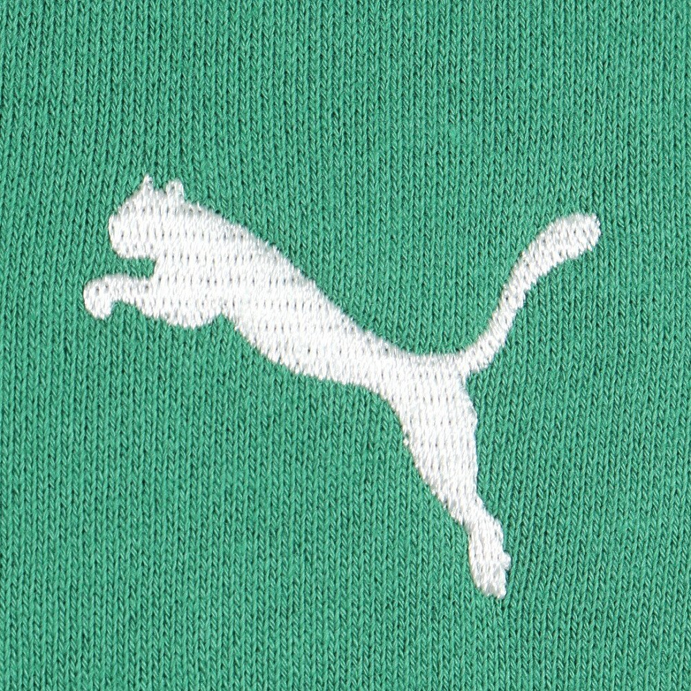 プーマ（PUMA）（メンズ）MWQ スウェットフーディー 630166 86 GRN