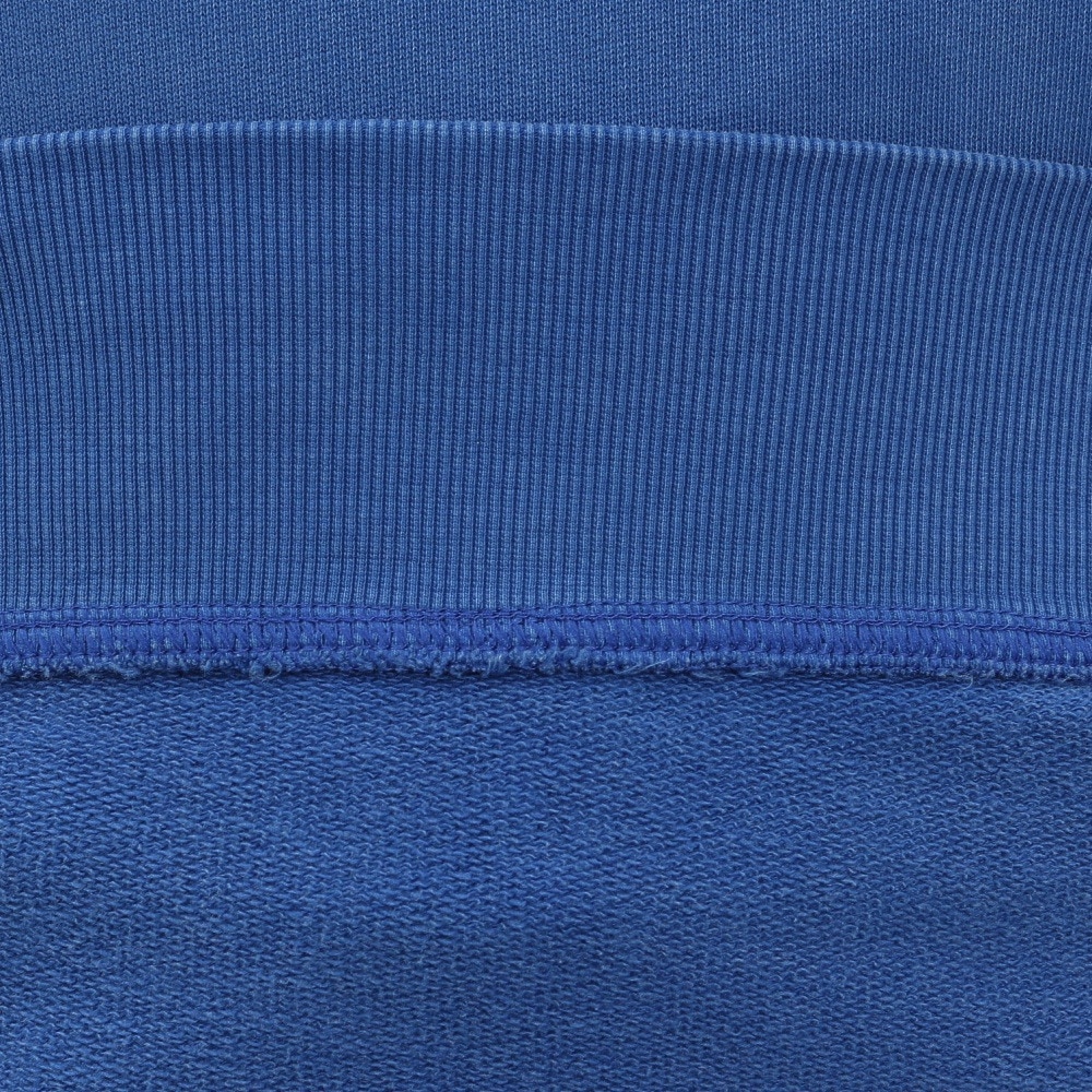 プーマ（PUMA）（メンズ）F1 フーディ 631640 05 RBLU