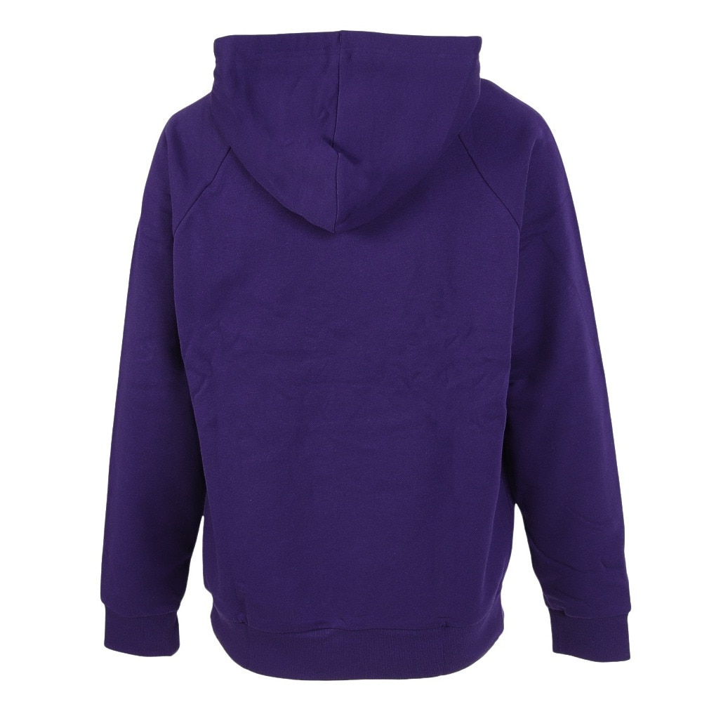 アンダーアーマー（UNDER ARMOUR）（メンズ）ライバルフリース フーディー 1379757 500