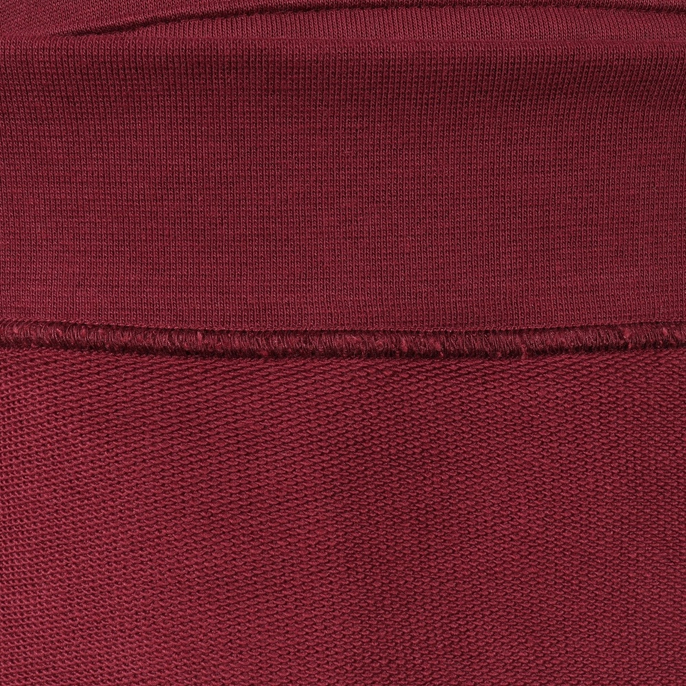 プーマ（PUMA）（メンズ）CLASS グラフィック フーディー 691056 96 RSB