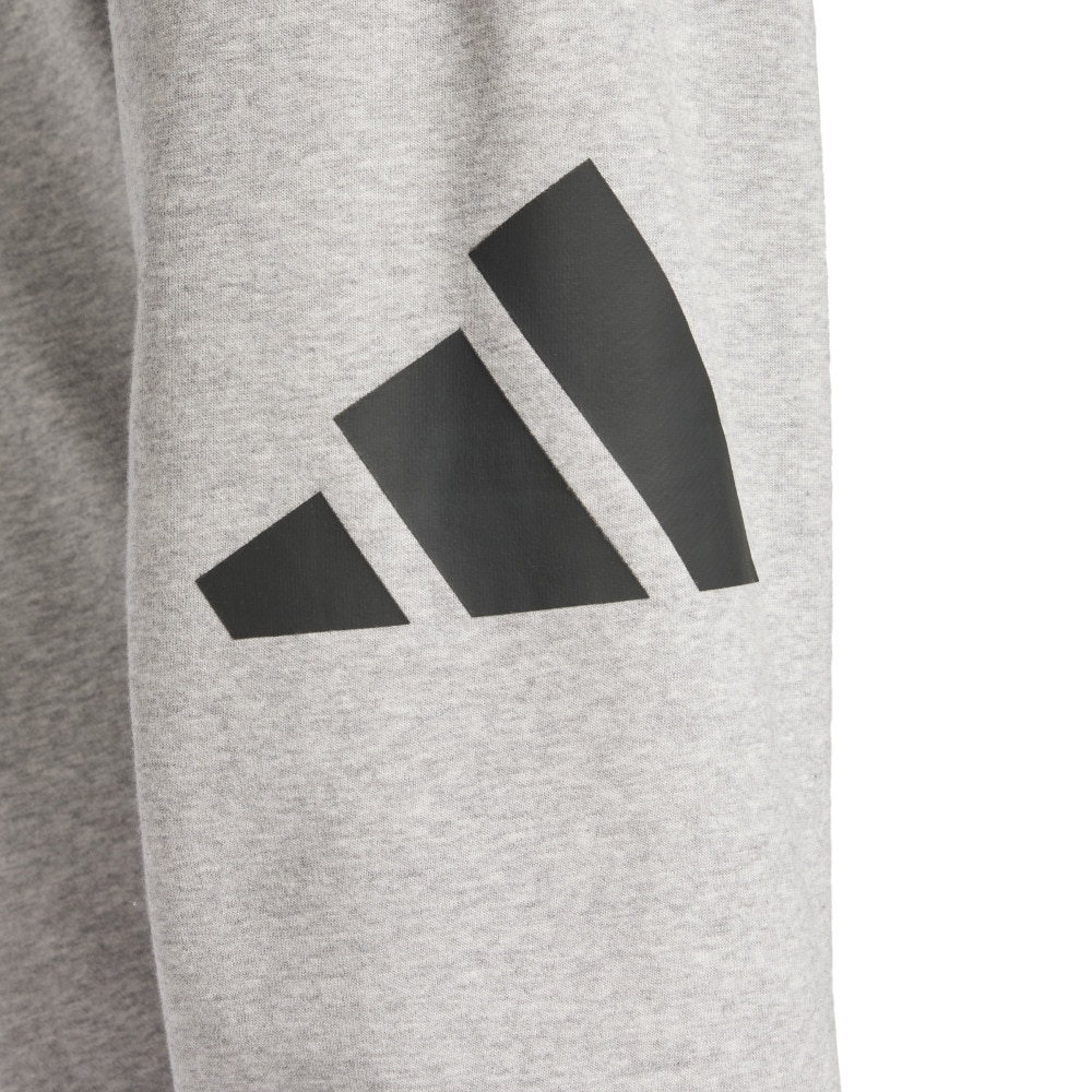 アディダス（adidas）（メンズ）エッセンシャルズ ビッグロゴ フレンチテリーパンツ KRG08-JE8969