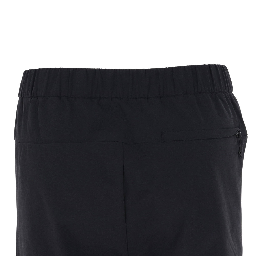 ザ・ノース・フェイス（THE NORTH FACE）（メンズ）エイペックスフレックスパンツ NB62282 ZC