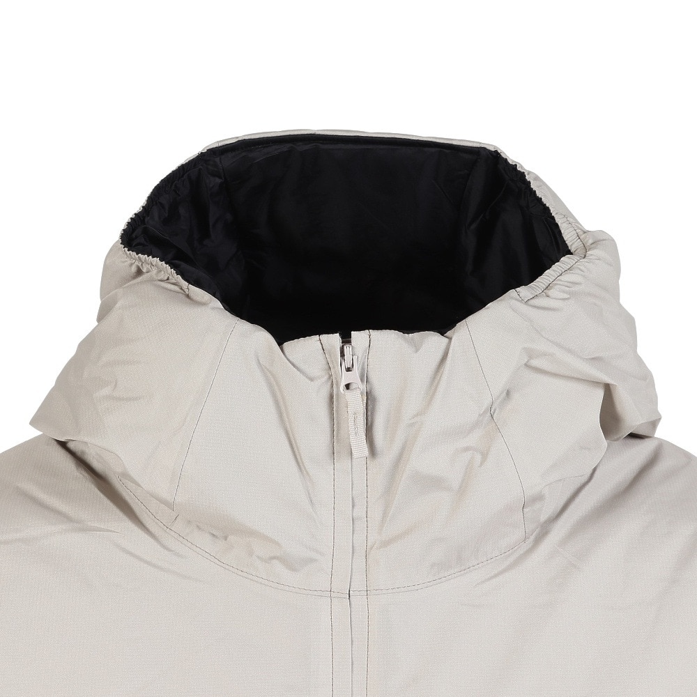 ザ・ノース・フェイス（THE NORTH FACE）（メンズ）GTX AXION INS