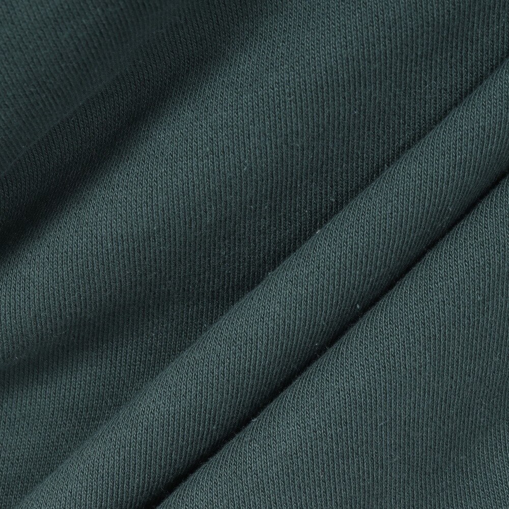 チャンピオン-ヘリテイジ（CHAMPION-HERITAGE）（レディース）LOOSE HVW WASH GR スウェットシャツ CW-Y010 570