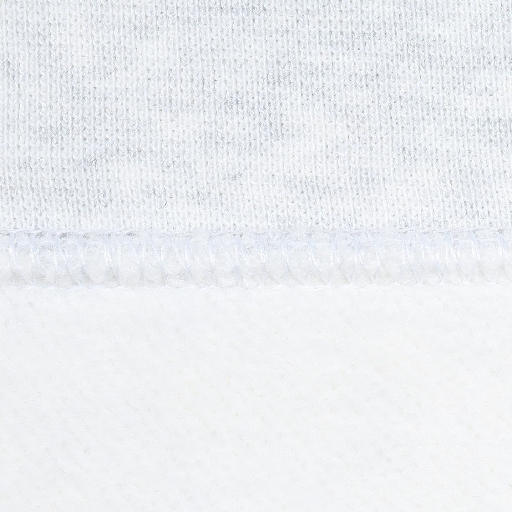 ナイキ（NIKE）（レディース）NSW クラブ フリース ロングスリーブ トップス DQ5839-051