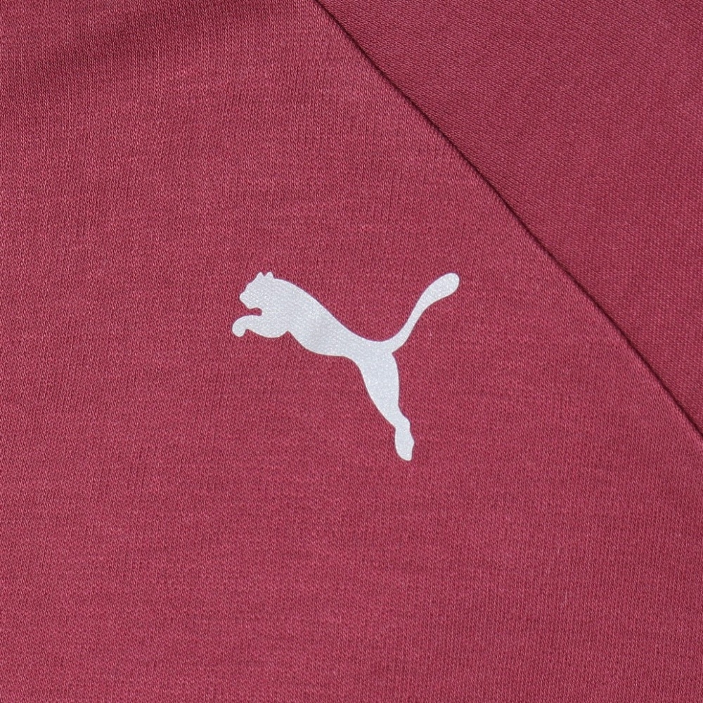 プーマ（PUMA）（レディース）パーカー レディース EVOSTRIPE フーデッド ジャケット 678388 22 MGT