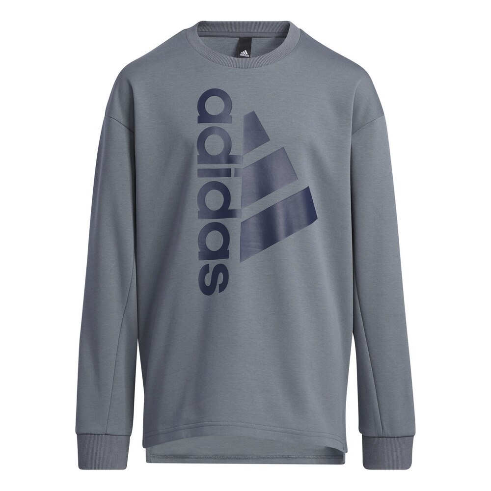 ジュニア トレーニングエッセンシャルズ バッジ オブ スポーツ 長袖Tシャツ 53482-GP0791