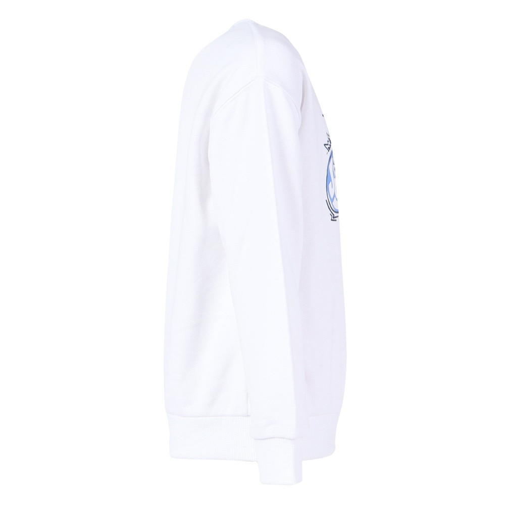 ナイキ（NIKE）（キッズ）トドラー NKB B NSW ART OF PLAY FT CREW トレーナー 76L103-001