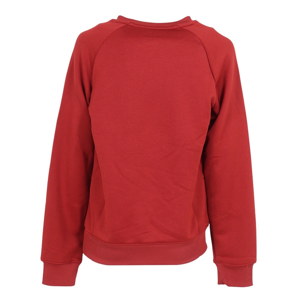 アンダーアーマー（UNDER ARMOUR）（キッズ）テック テリー ロゴ クルーネック 1381171 840