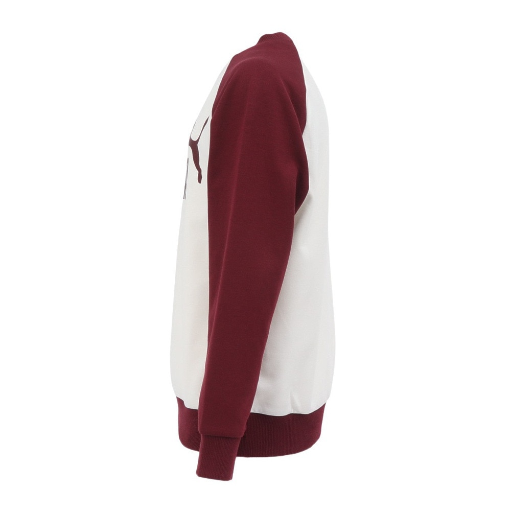 プーマ（PUMA）（キッズ）ジュニア ボーイズ ESS MX クルー スウェットシャツ 689984 87 ENJ