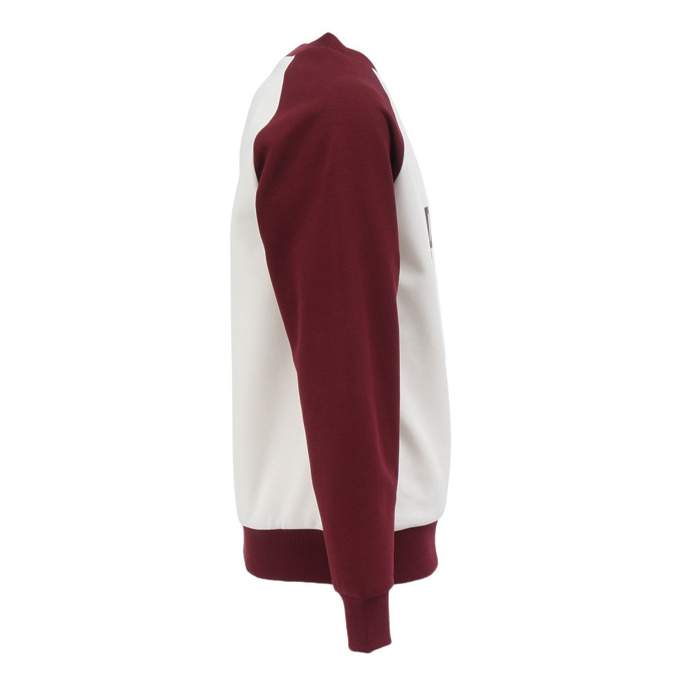 プーマ（PUMA）（キッズ）ジュニア ボーイズ ESS MX クルー スウェットシャツ 689984 87 ENJ