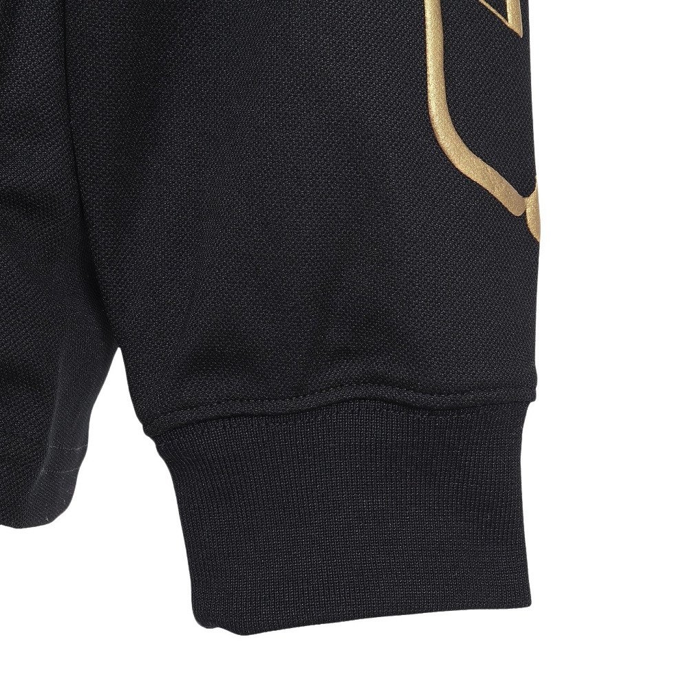 ジョーダン（JORDAN）（キッズ）スウェットシャツ マウンテンサイド 長袖ジャージー JERSEY 95F340-023