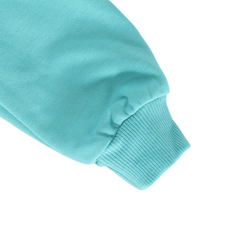 ナイキ（NIKE）（キッズ）CLUB FT HBR プルオーバーパーカー 76L095-EIG