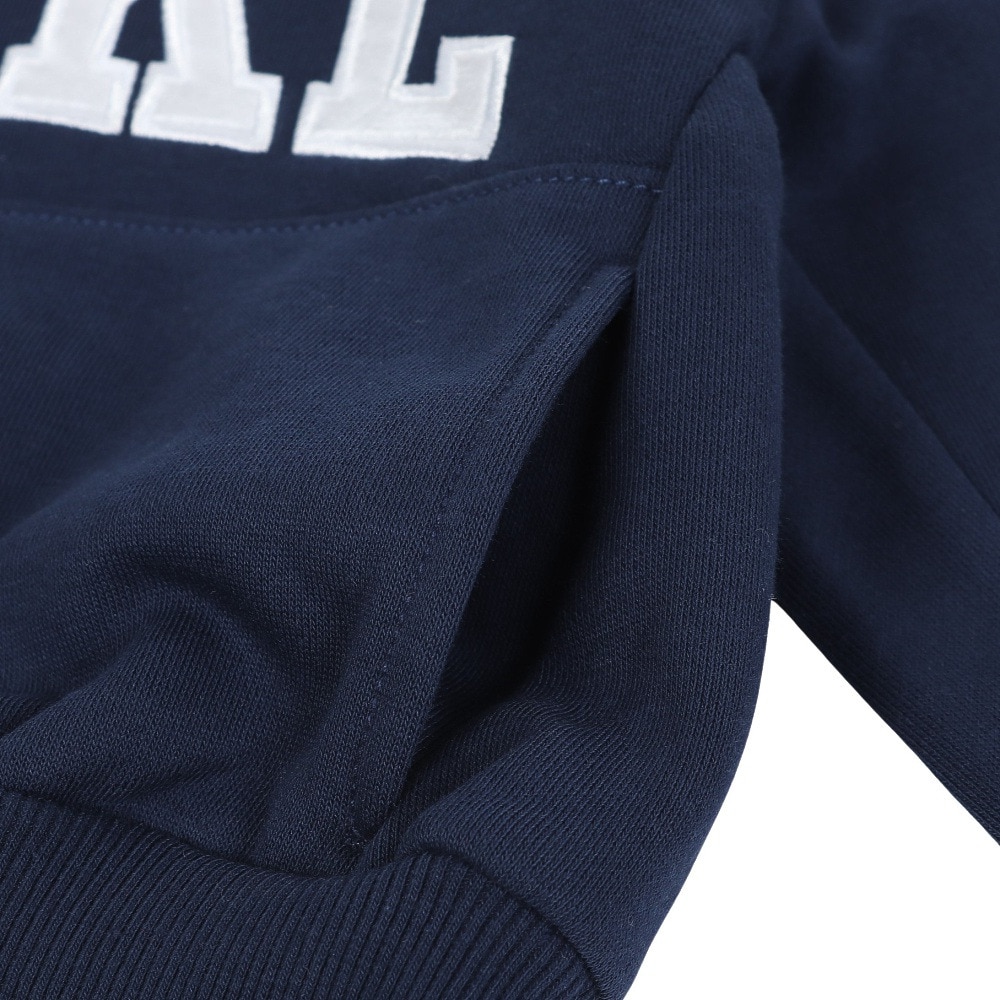 ナイキ（NIKE）（キッズ）トドラー SNL APPL FLC プルオーバー 76M254-U90